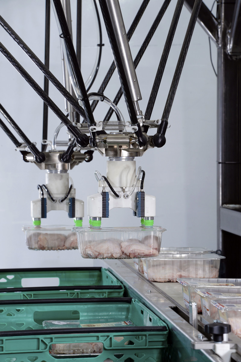 Sealing the future for Automated Tray and Flow Wrap Packing