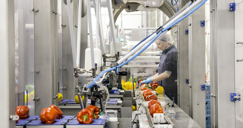 Three bell peppers, 500g, every time – with Load Cells and Vision