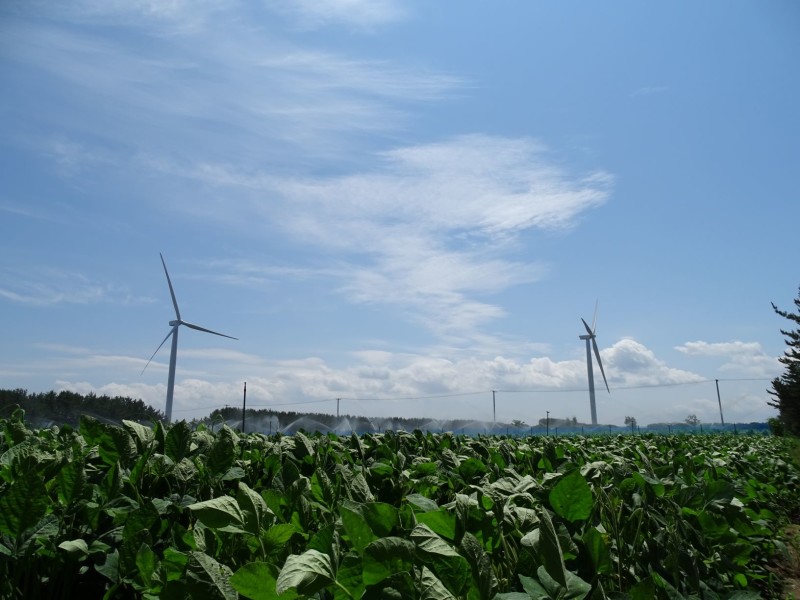 Large Wind-power Plant with Yokogawa Control System Comes Online in Japan - Accelerating the expansion of renewable energy