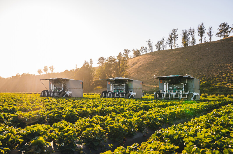Kubota and Yamaha Motor Additionally Invest in U.S. Startup Developing Robots to Automate Strawberry Harvesting