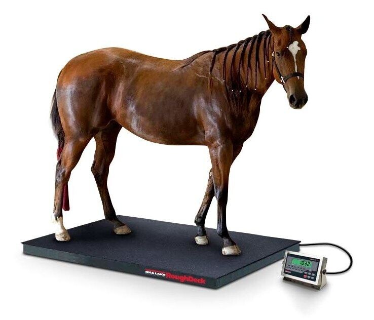 Article by Central Carolina Scale, Inc.: The Importance of Animal Scale Calibration