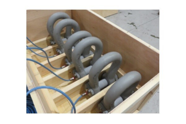 LCM Systems Ltd 85te ATEX/IECEx Load Shackles for Mooring Application