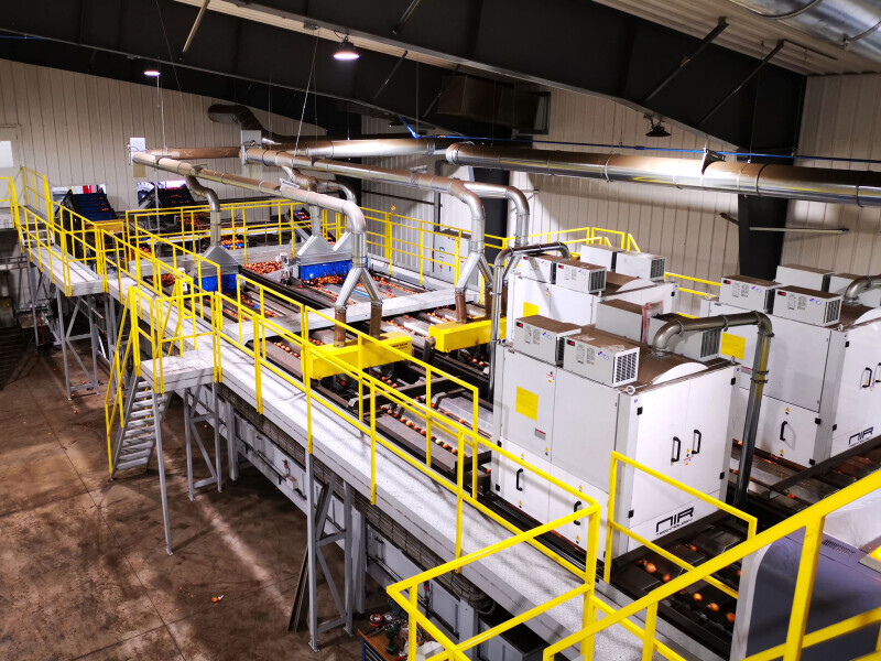 Big O Farms Looks Towards a Bright Future with New Eqraft Grading & Packing Line