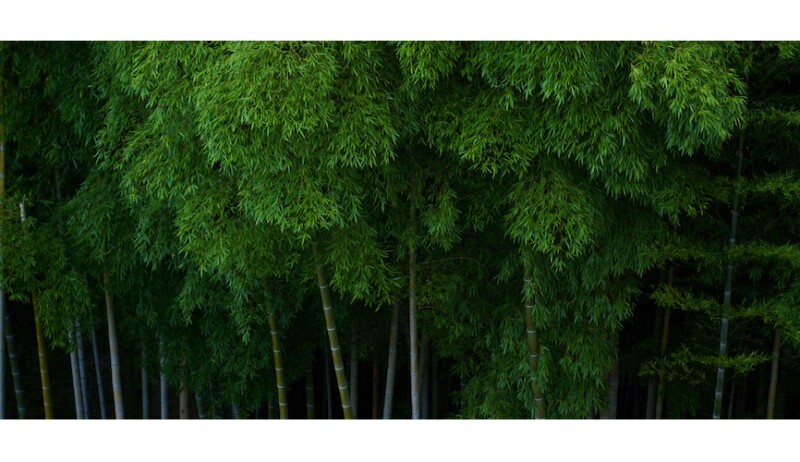 Xiaomi Unveils Climate Strategy for Supporting Global Net Zero GHG Emissions