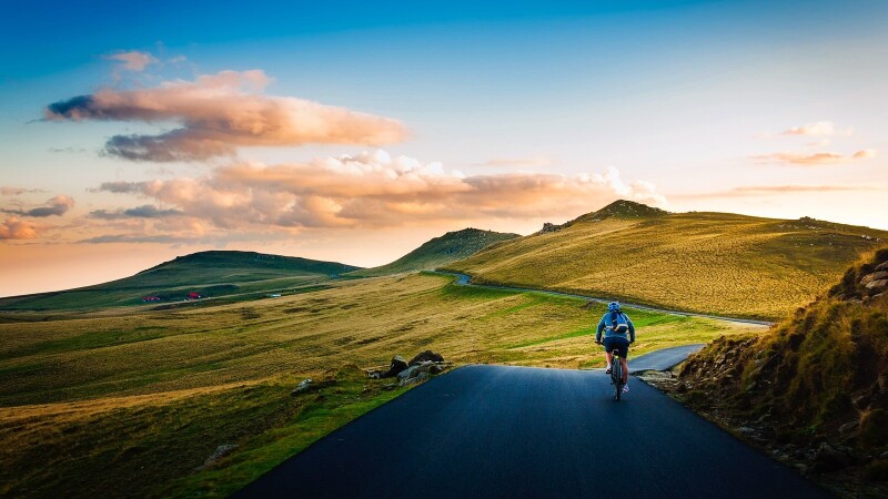 Discover Unique Travel Adventures with Tripaneer
