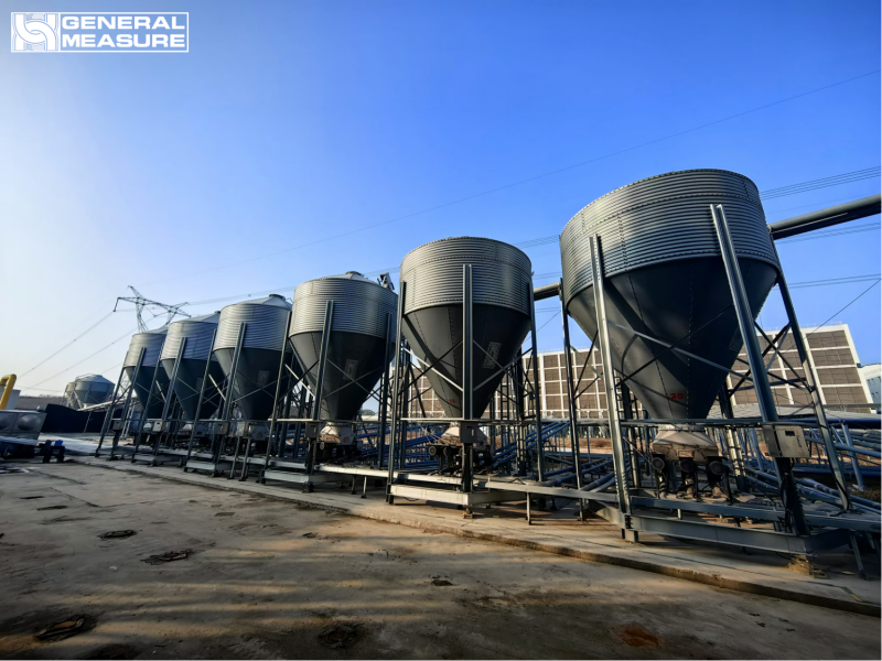 Empowering Smart Farming: General Measure Weighing Solutions in Muyuan’s Integrated Pig Farming Operations